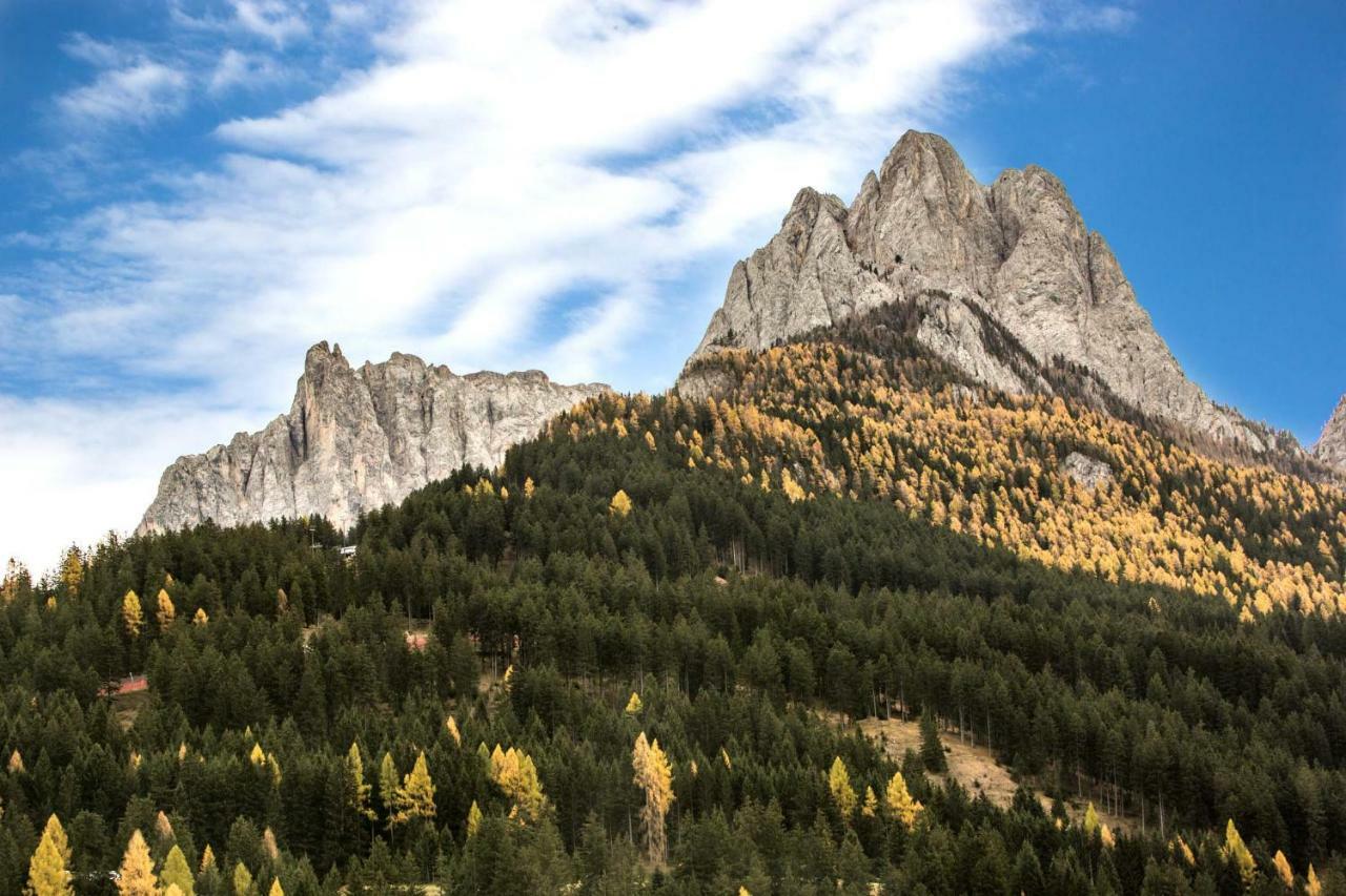 Wellness Fassa Apartment Pozza di Fassa Exterior photo